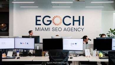 egochi miami seo agency