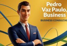 Pedrovazpaulo Business Consultant